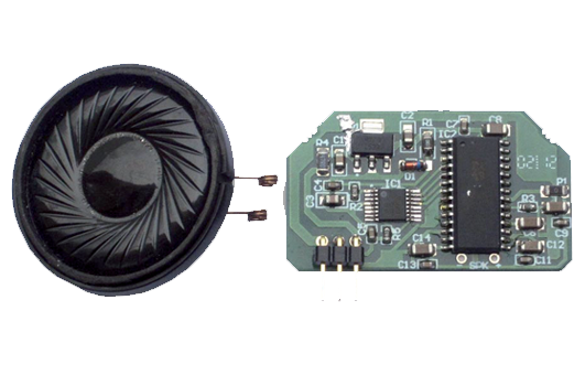 Módulo de voz <span>MV-20Xi-194i</span>